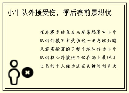 小牛队外援受伤，季后赛前景堪忧
